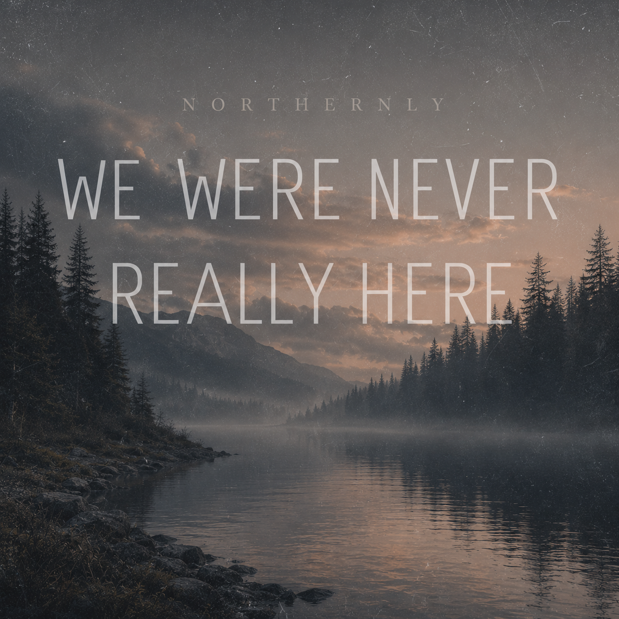We Were Never Really Here album cover
